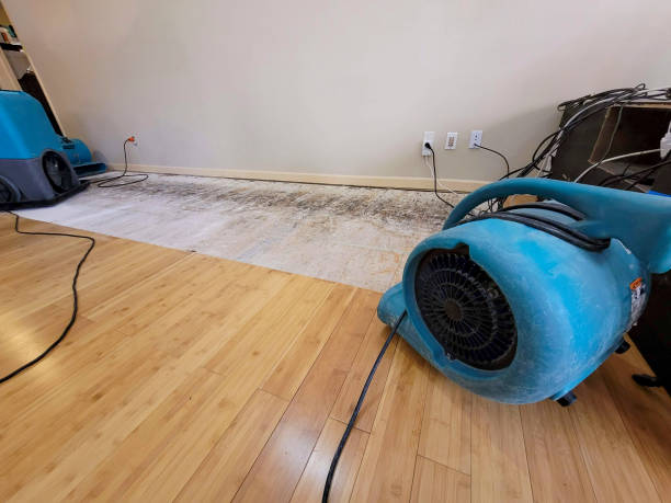 Professional Structural Drying technician working in Chestnut Mound, TN